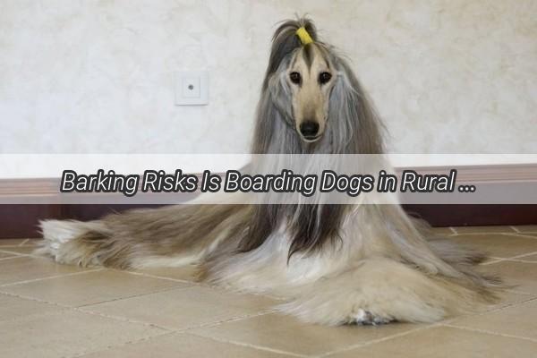 Barking Risks Is Boarding Dogs in Rural Areas a Legal Labyrinth